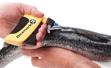 rfid tagging animals fish|animal identification and tracking.